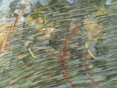 Umberto Boccioni Unique Form of Continuity in Space (mk19)